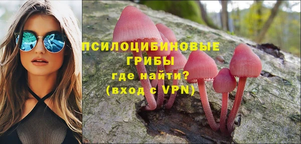 гидропоника Алзамай
