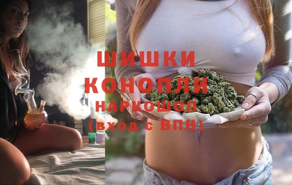 гидропоника Алзамай